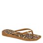 Rasteira-Camel-Tira-Entre-Dedos-|-Vizzano-Tamanho--34---Cor--CAMEL-0
